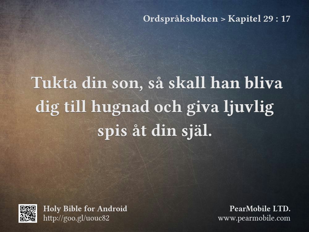 Ordspråksboken, Kapitel 29:17